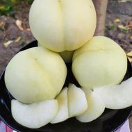 Саженец Персик Айс Пич